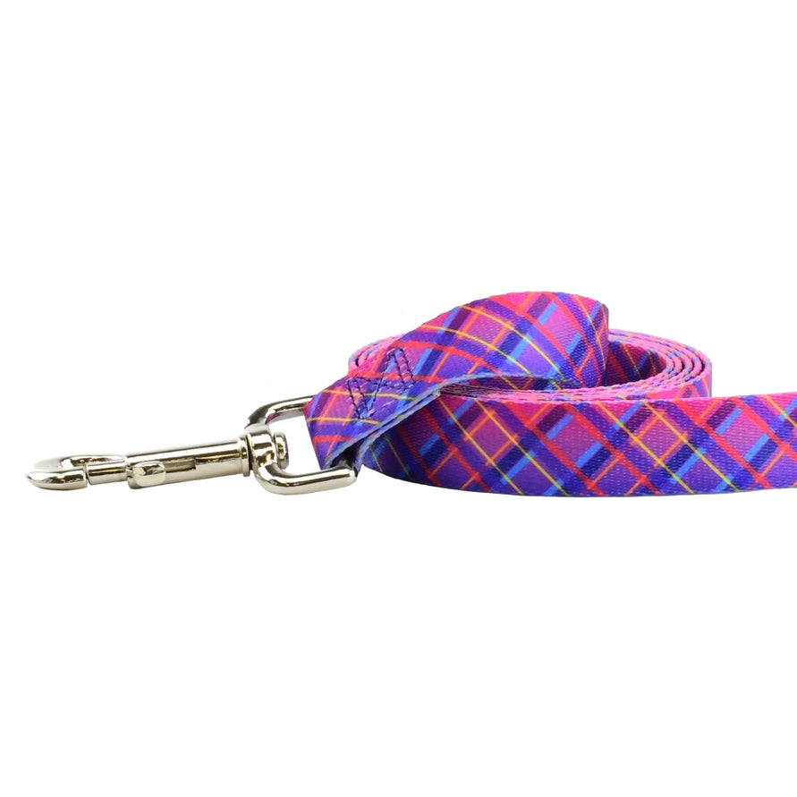 Earthstyle Neon Sunrise Dog Leash - 6" Foot 1 inch Leash