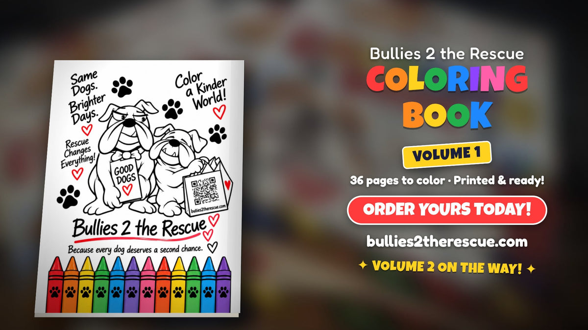 Bullies 2 the Rescue-Coloring Book