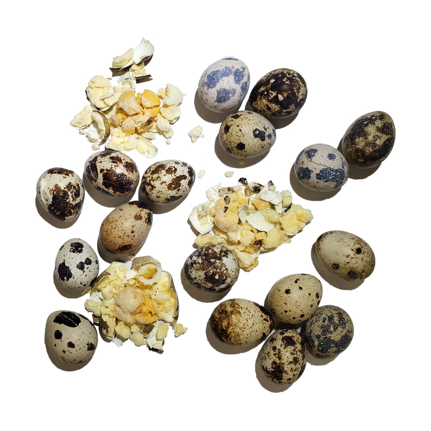 Freeze-Dried Quail Egg Topper for Dogs and Cats