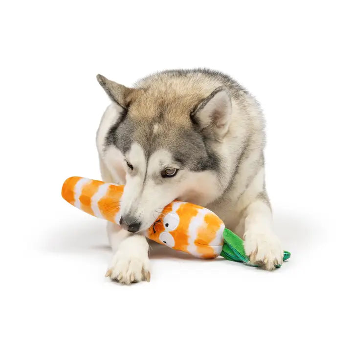 Fetchies® Sweet Carrot Dog Toy
