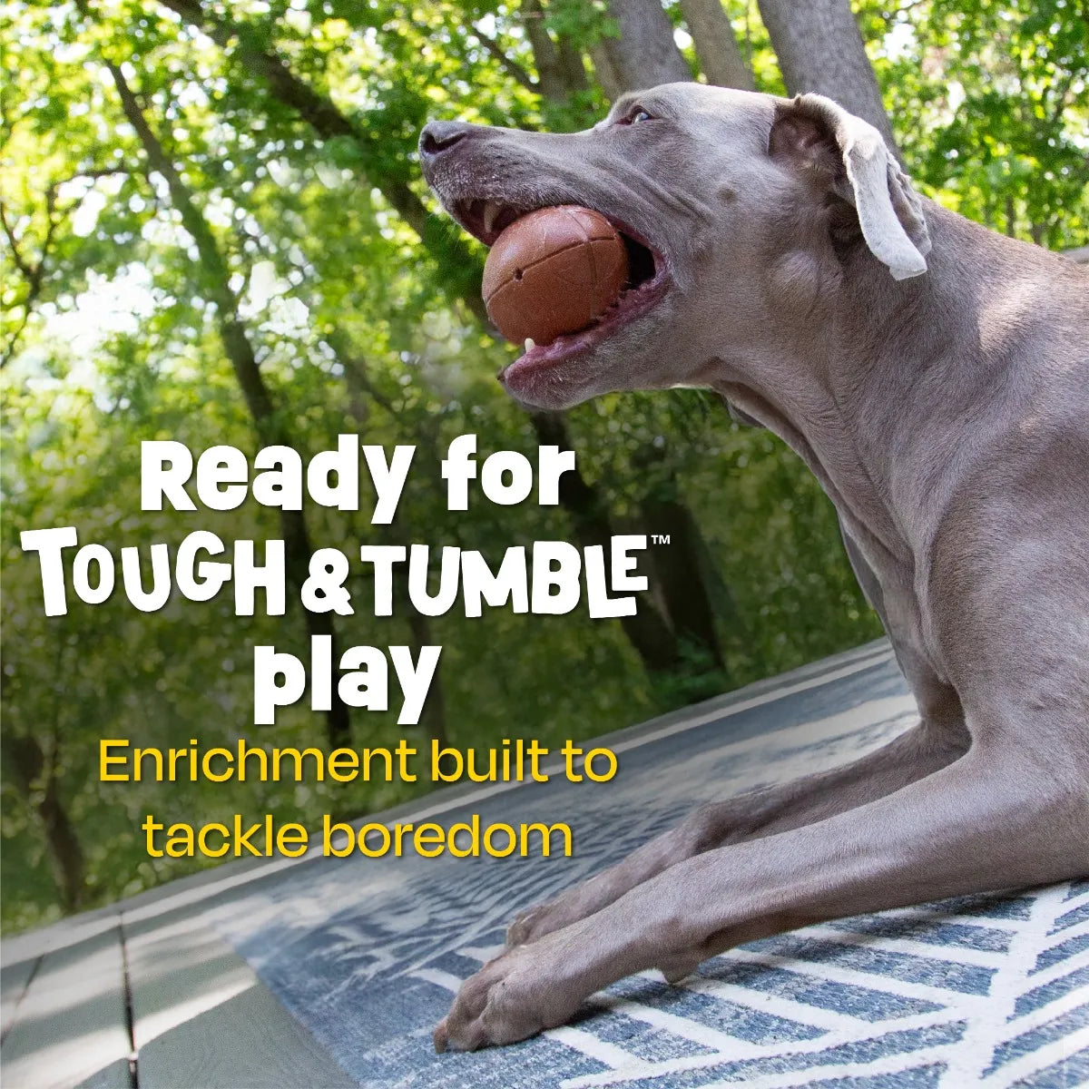 Tough & Tumble™ Treat Dispenser: Fumbling Football