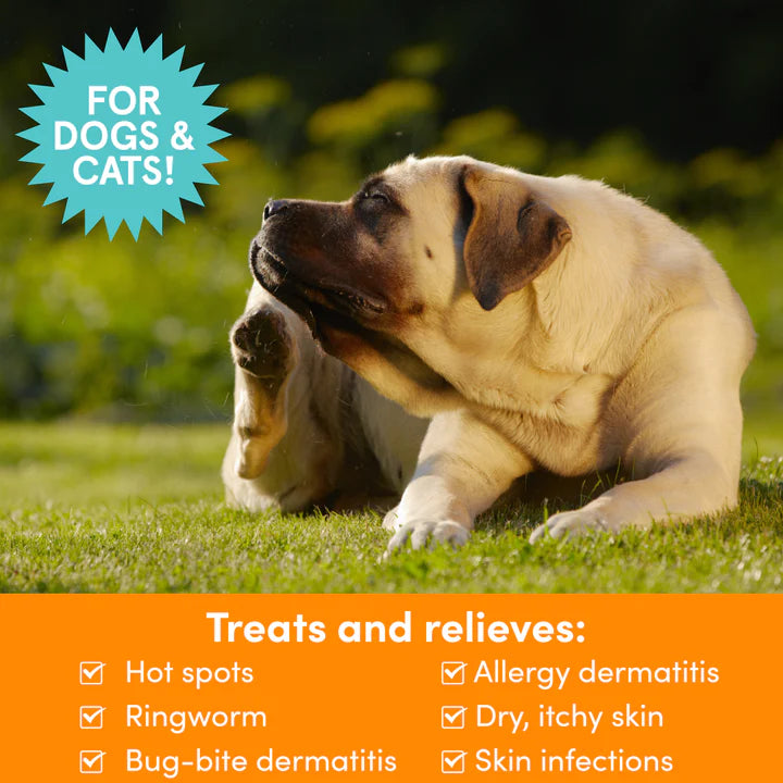 Medicated Pet Spray-8 oz - Antifungal & Antibacterial