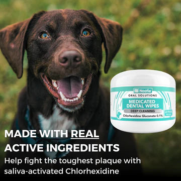 Nootie Antimicrobial Dental Wipes for Dogs