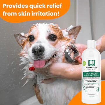 Nootie Itch Relief Medicated Shampoo