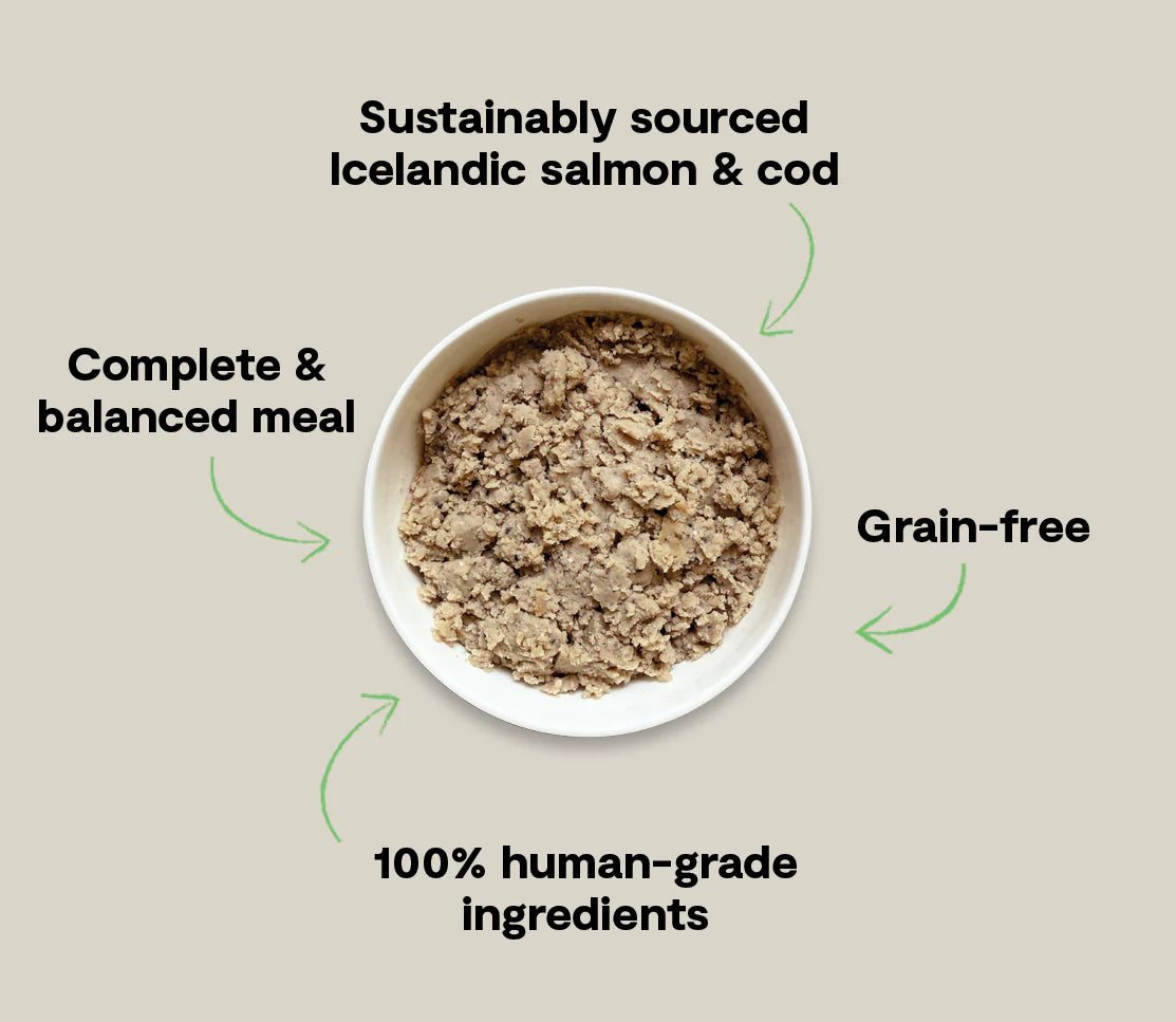Open Farm Icelandic Salmon & Cod Wet Food for Dogs