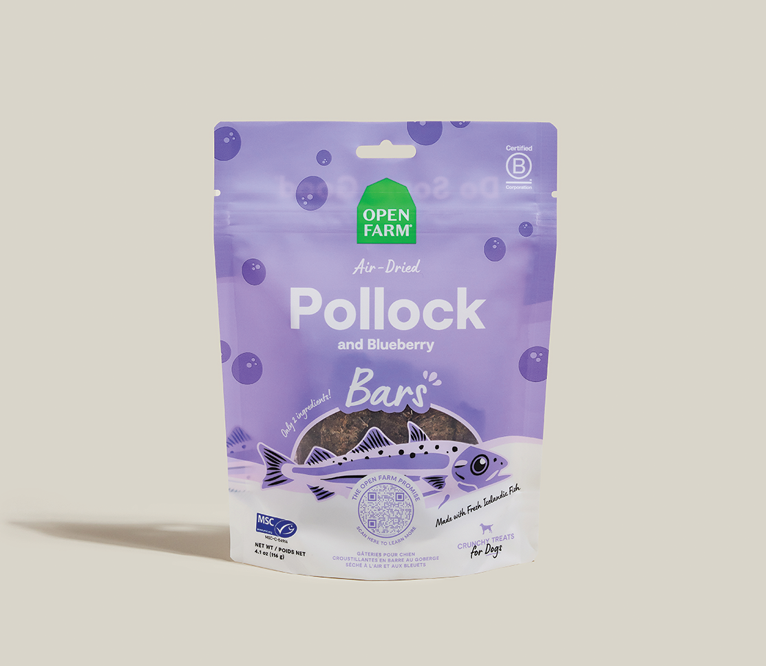 Open Farm Icelandic Air-Dried Pollock & Blueberry Dog Treat Bars