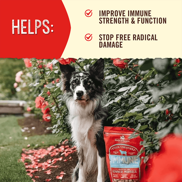 Stella’s Solutions Immune Support for Dogs