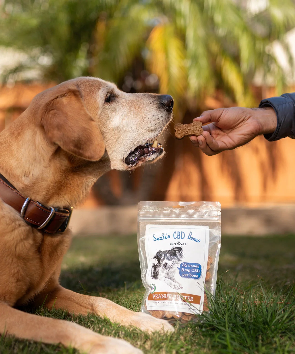 Suzie's 8 mg CBD Bones for Big Dogs