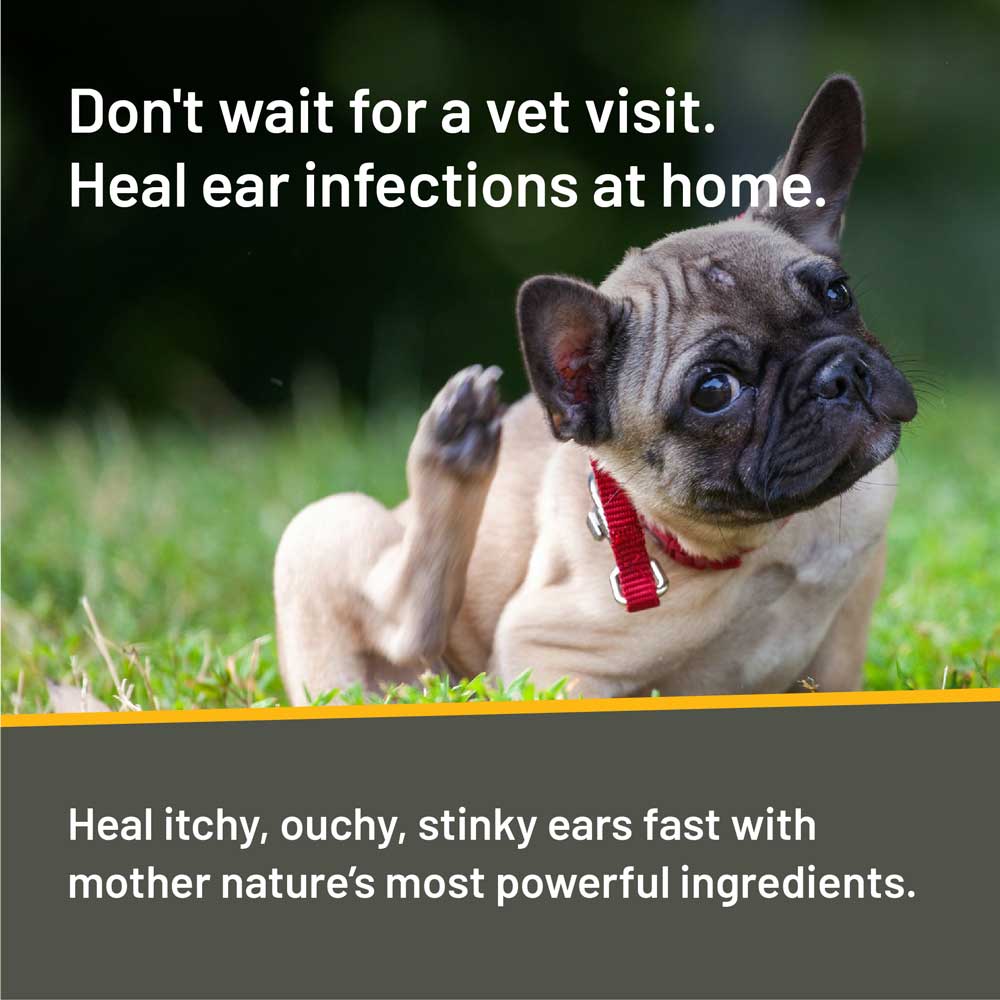 Rapid Ear Care Concentrated Doses