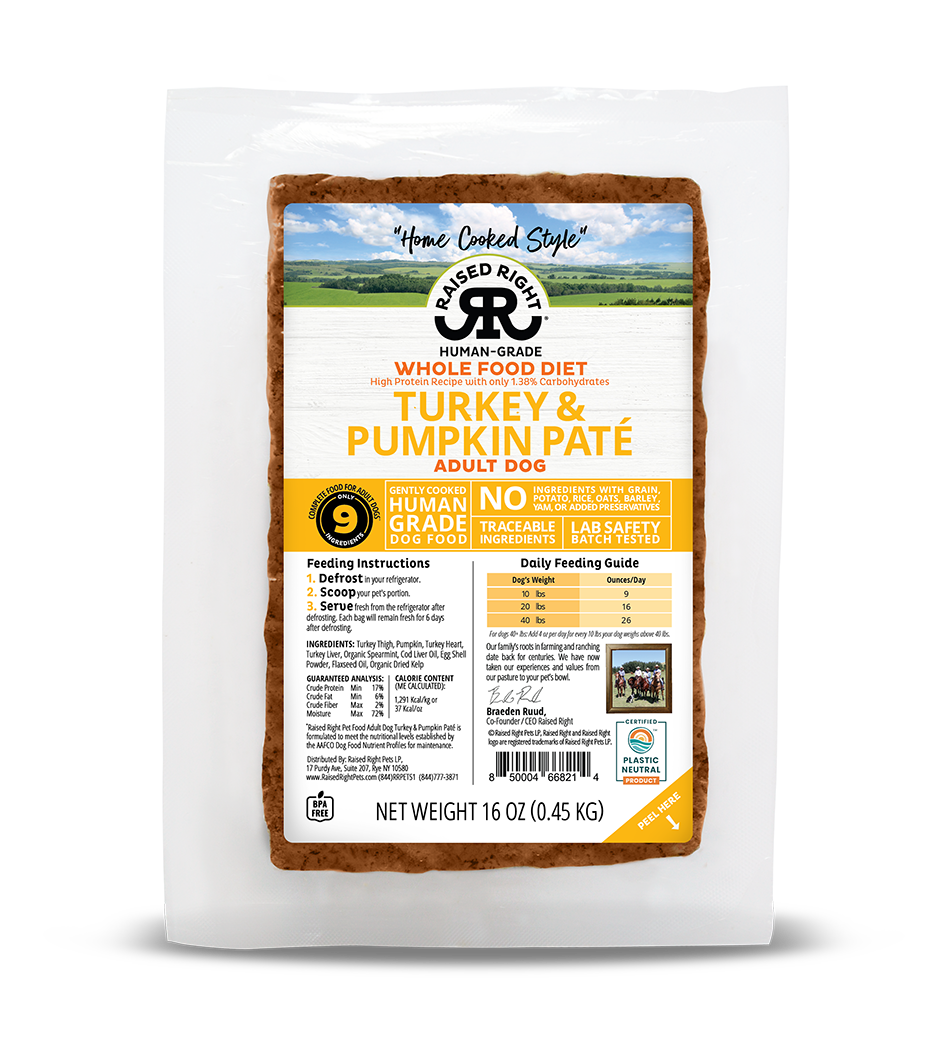 Raised Right Turkey & Pumpkin Paté for Adult Dogs