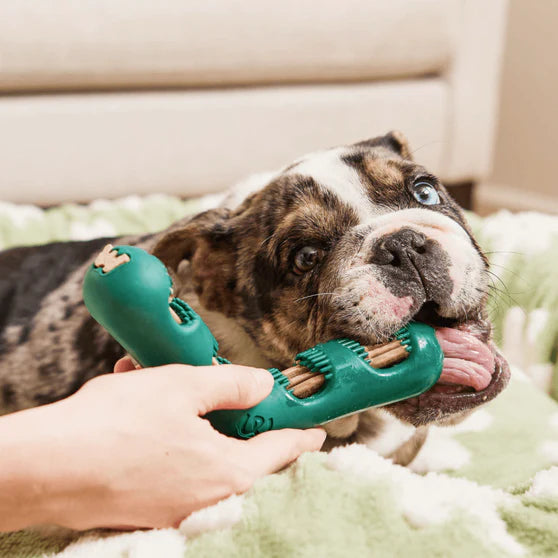 Woof Bite n' Brush Refills