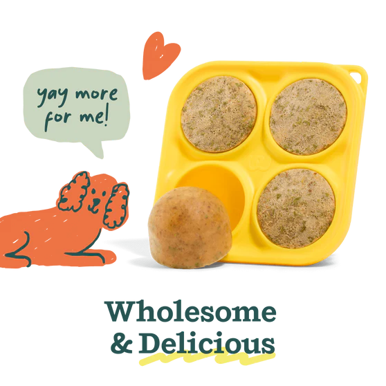 Woof Pupsicle Mix Sample Pack