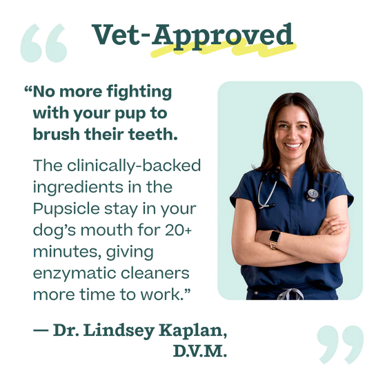 Woof Doggy Dental Mix