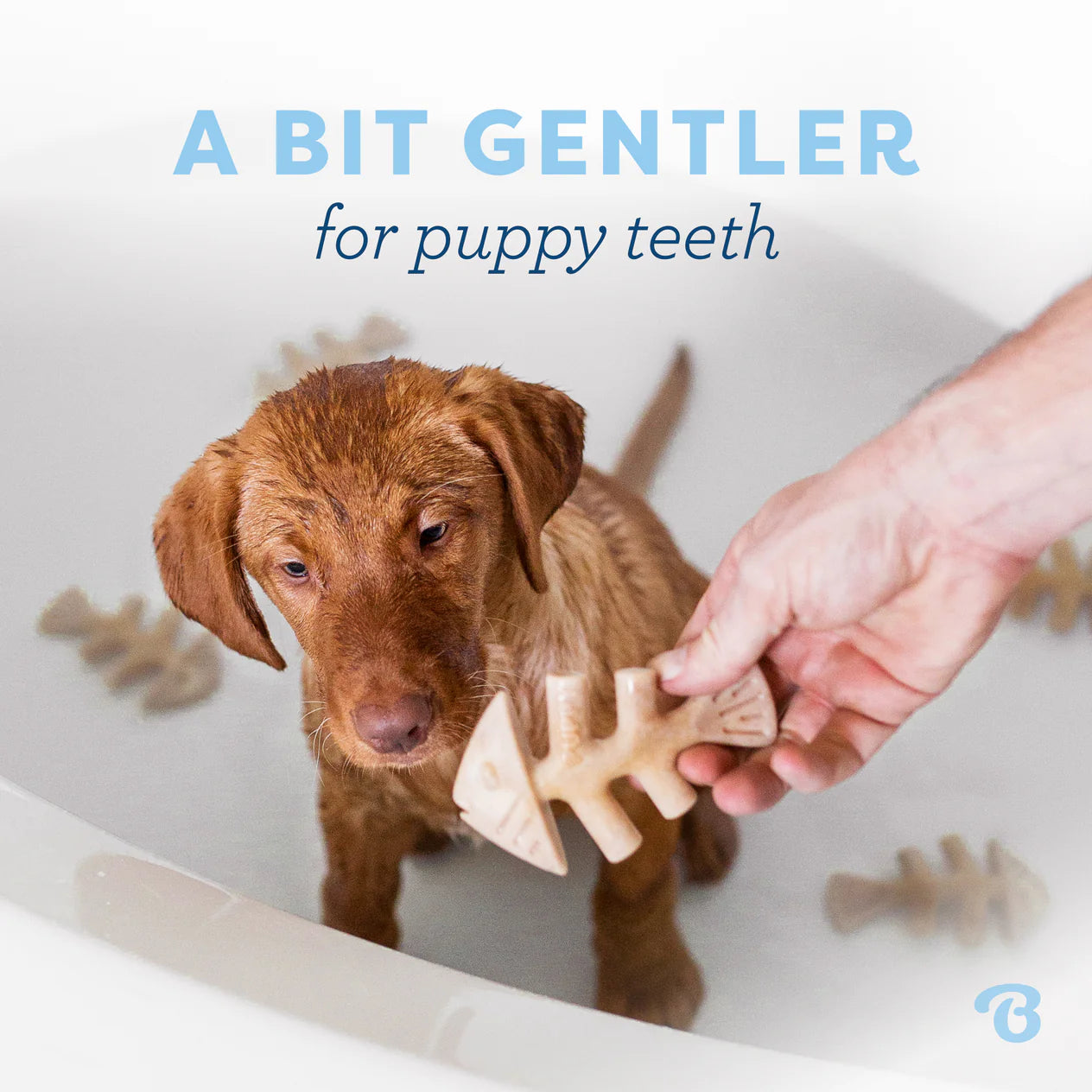 Benebone Jack Salmon Puppy Fishbone