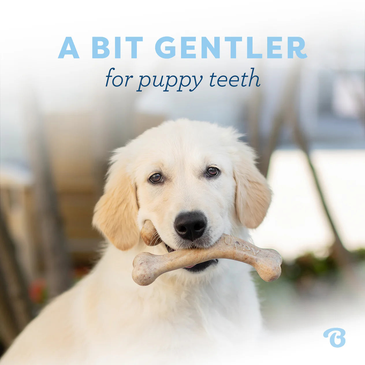 Benebone Bacon Puppy Wishbone
