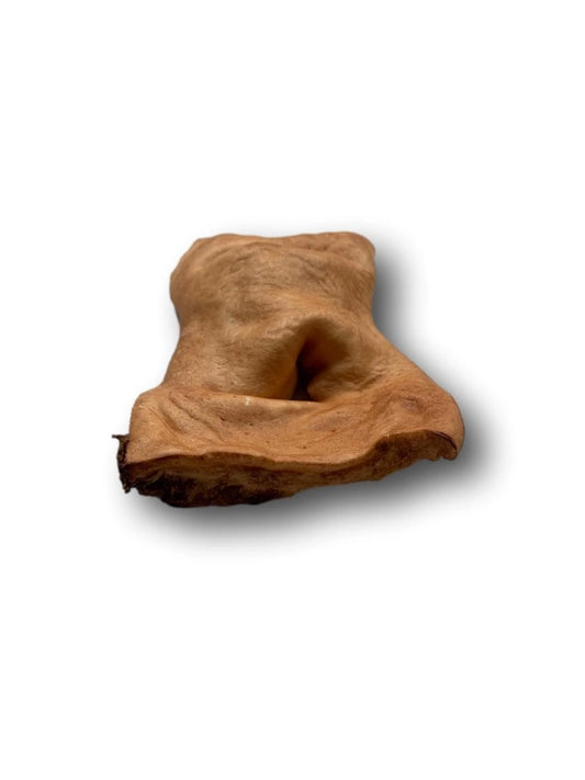 MOOZLES Beef Snout