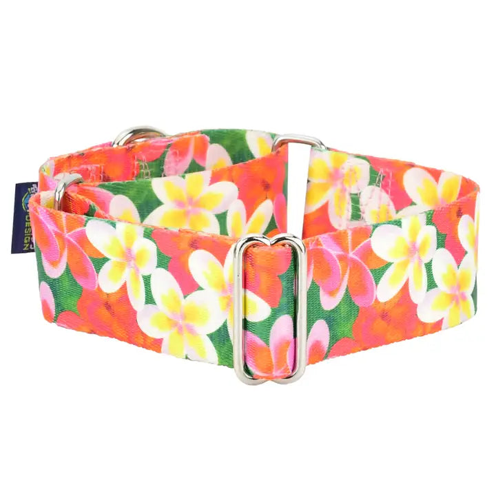 1.5″ Earthstyle Aloha Dog Collar- Martingale Collar