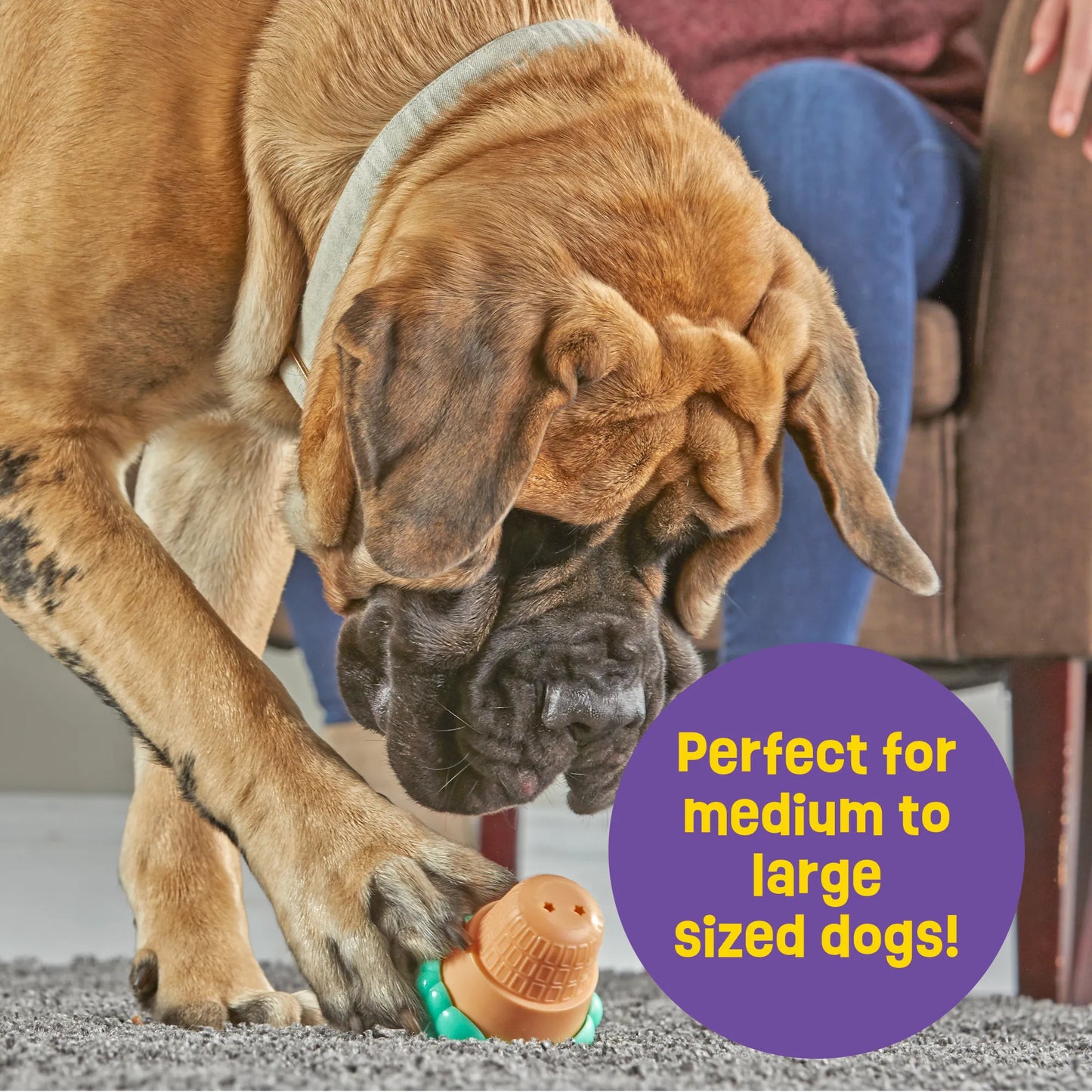 Touchdown Time! Treat Puzzle