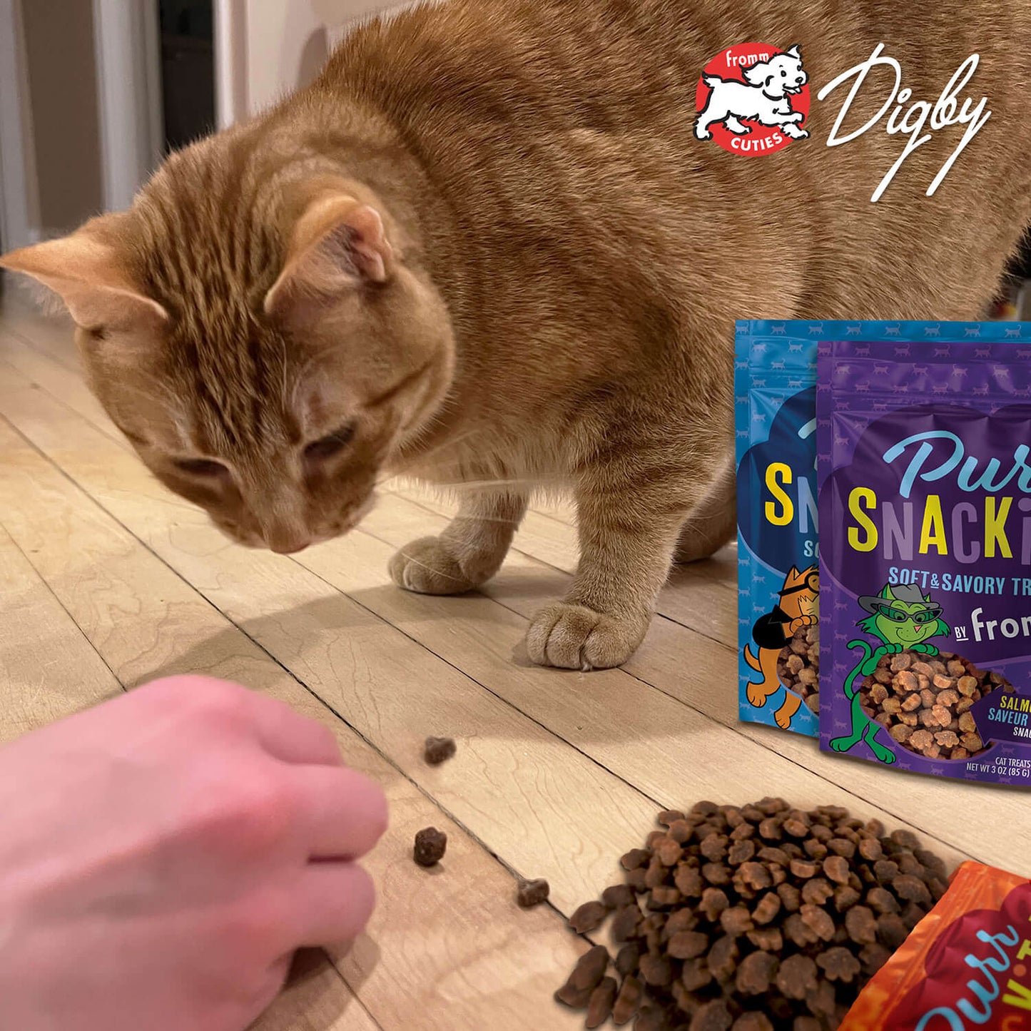 Fromm PurrSnackitty™ Soft & Savory Liver Flavor Cat Treats