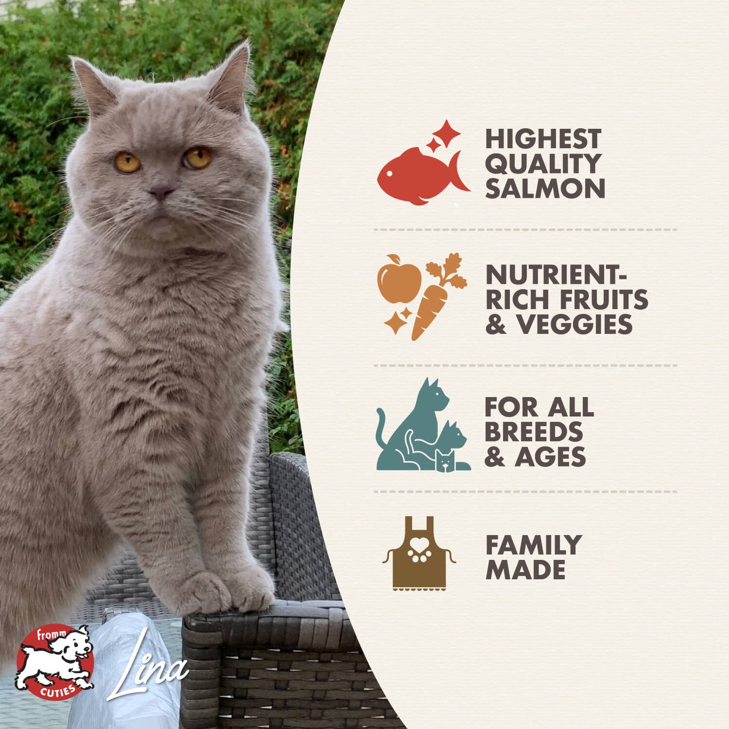 Fromm Salmon Tunachovy® Recipe Cat Food