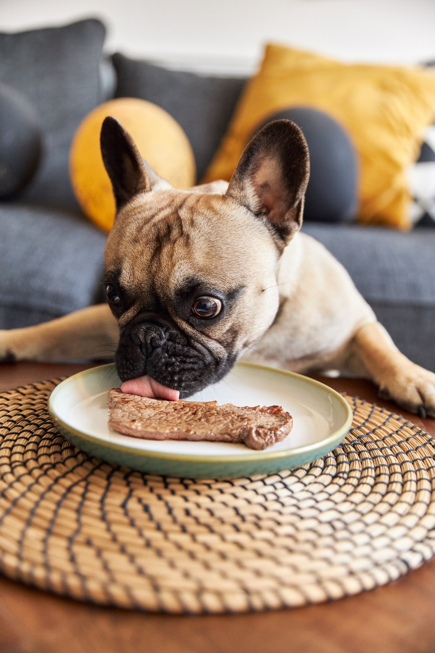 Freeze & Air Dried Foods