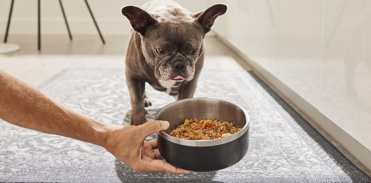 Gently Cooked Pet Food