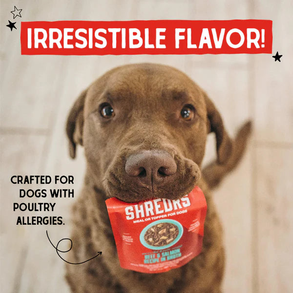 Stella's Shredrs Beef & Salmon Recipe in Broth for Dogs