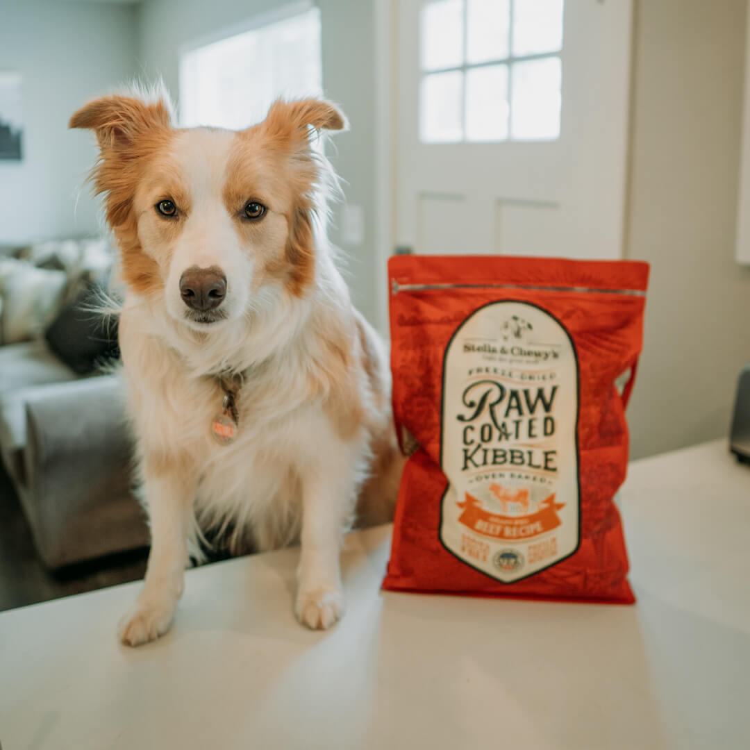 Stella & Chewy's Dog Food - Raw Coated Grass Fed Beef
