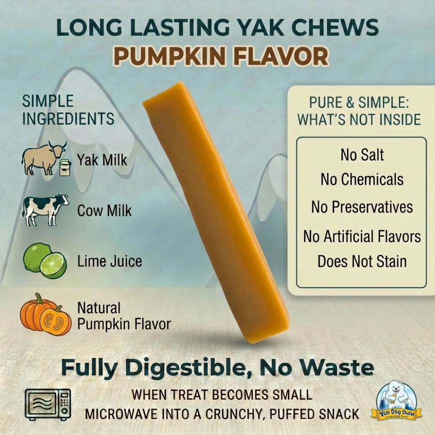 Yeti Dog Treat Chew Pumpkin 3.5oz