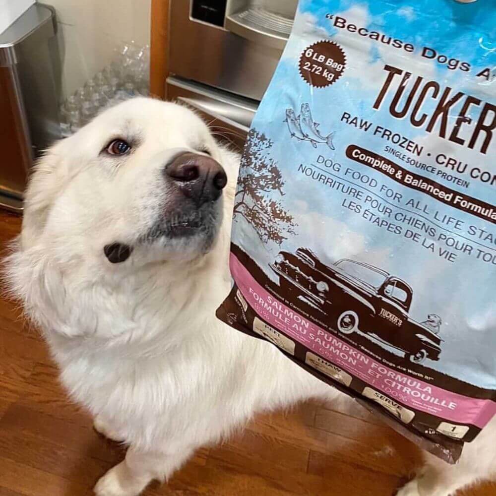 Tucker's Raw Frozen Dog Food Salmon & Pumpkin Formula