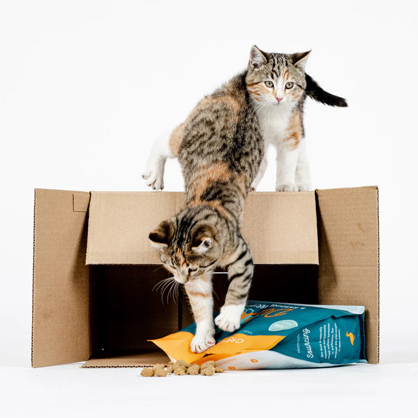 Green JuJu Duck & Sardine – Complete & Balanced Freeze-Dried Meal