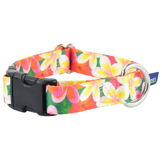 1″ Earthstyle Aloha Dog Collar- Side Release