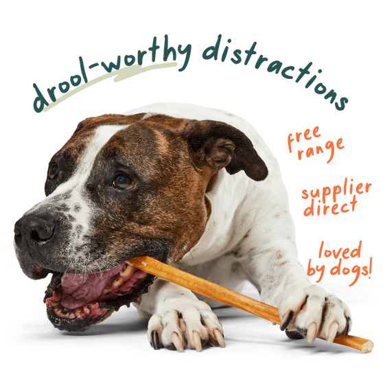 Woof Free Range Bully Sticks