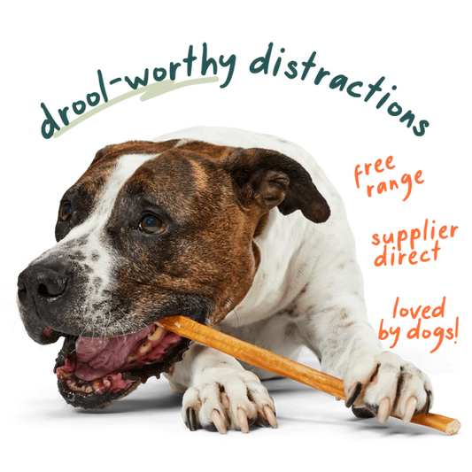 Woof Free Range Bully Sticks