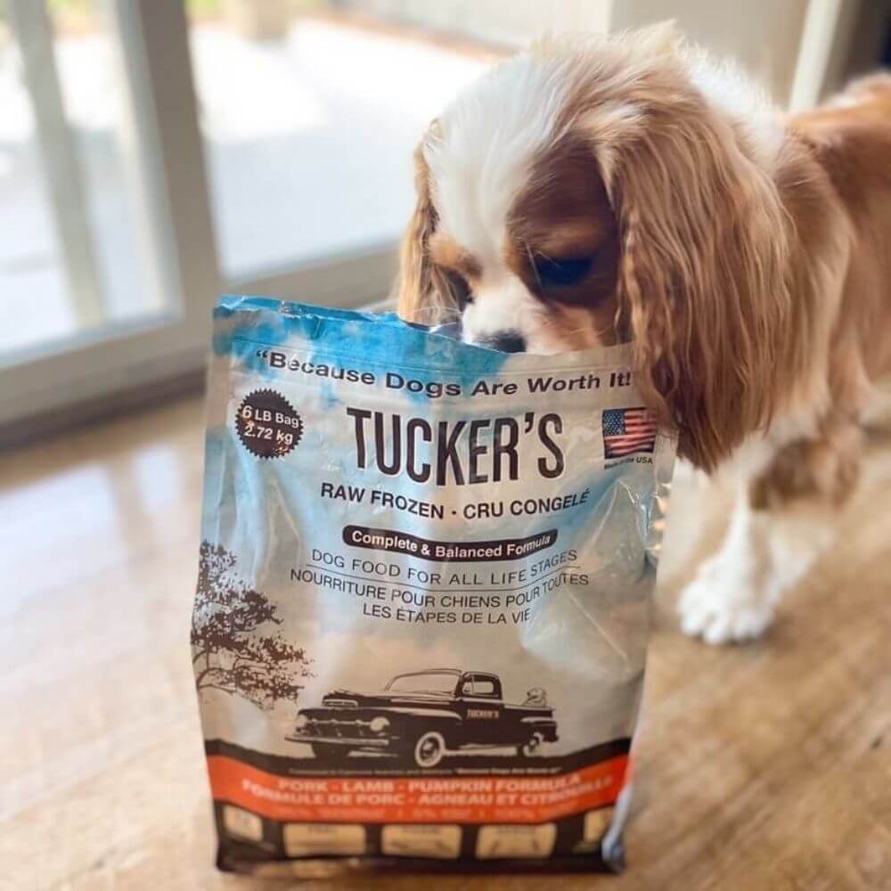 Tucker's Raw Frozen Dog Food Pork, Lamb, & Pumpkin Formula