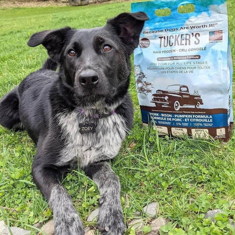 Tucker's Raw Frozen Dog Food Pork, Bison & Pumpkin Formula
