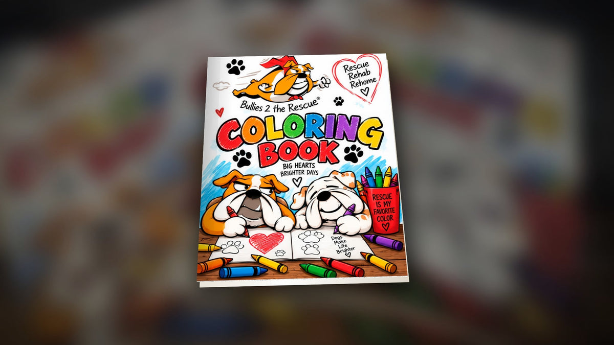 Bullies 2 the Rescue-Coloring Book