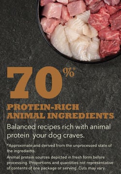 Acana Highest Protein, Appalachian Ranch Recipe