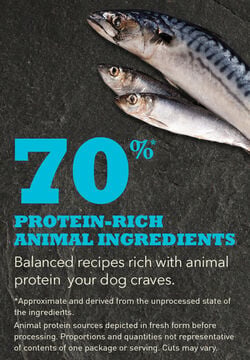 Acana Highest Protein, Wild Atlantic Recipe