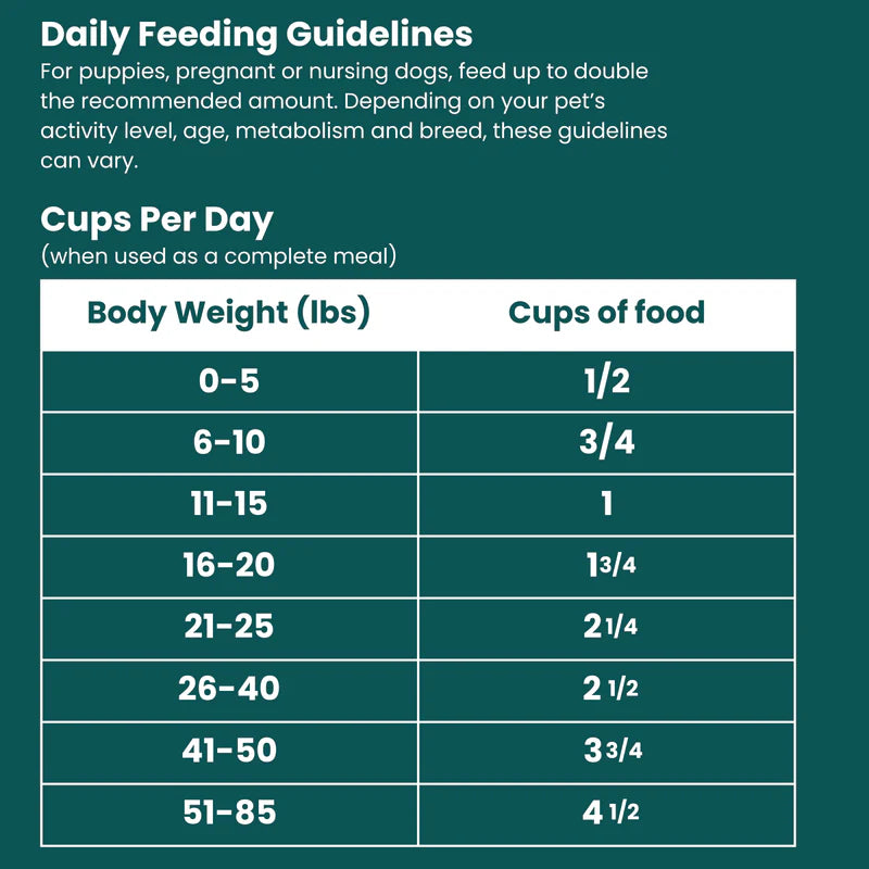 Freeze Dried Alligator Recipe