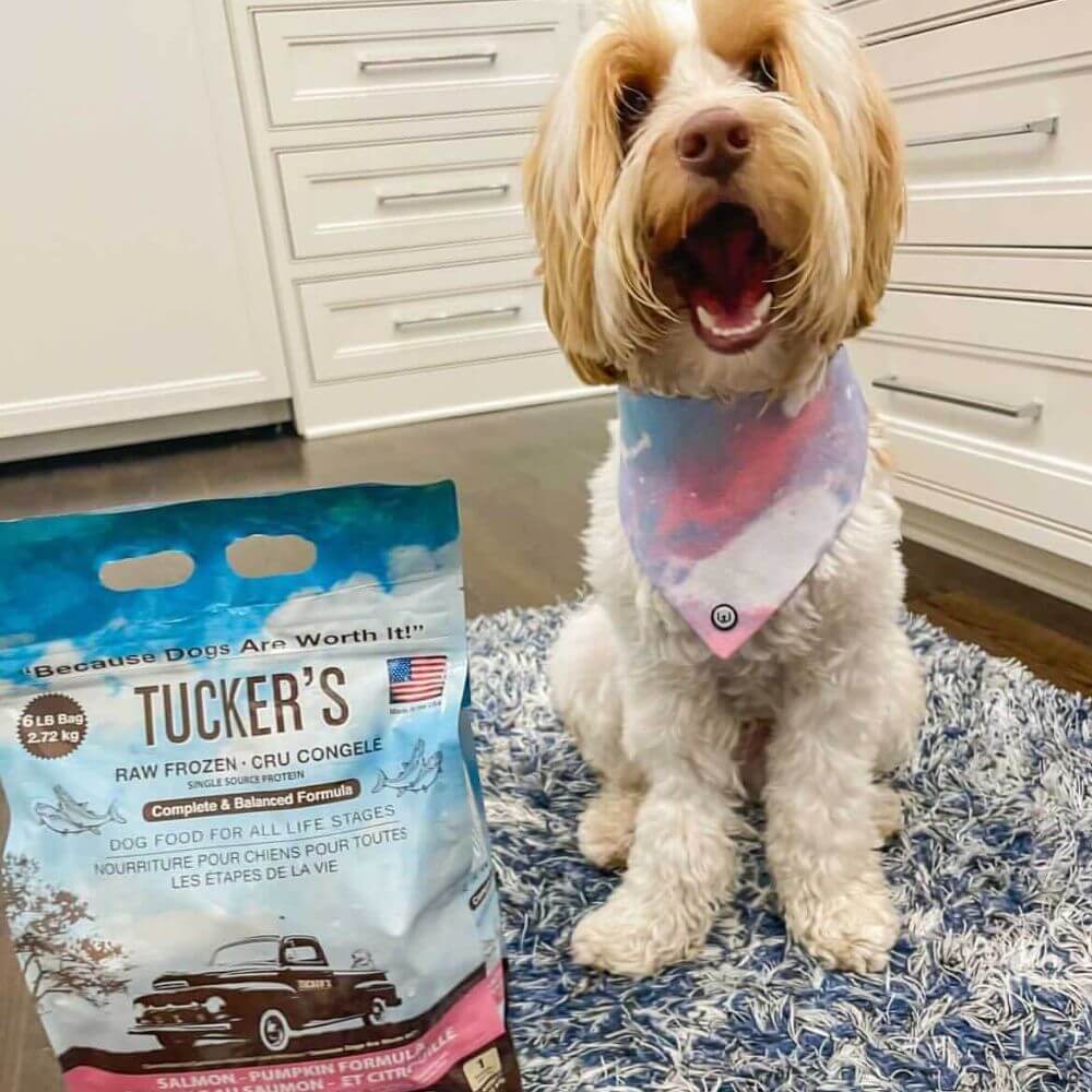 Tucker's Raw Frozen Dog Food Salmon & Pumpkin Formula