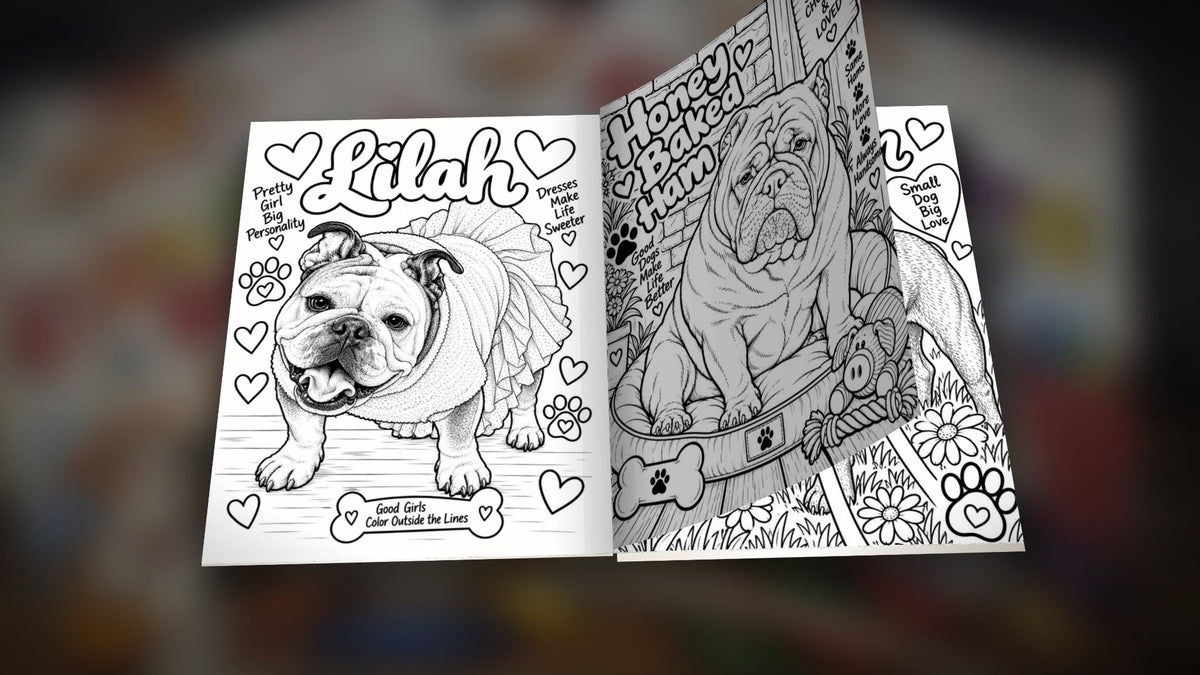 Bullies 2 the Rescue-Coloring Book