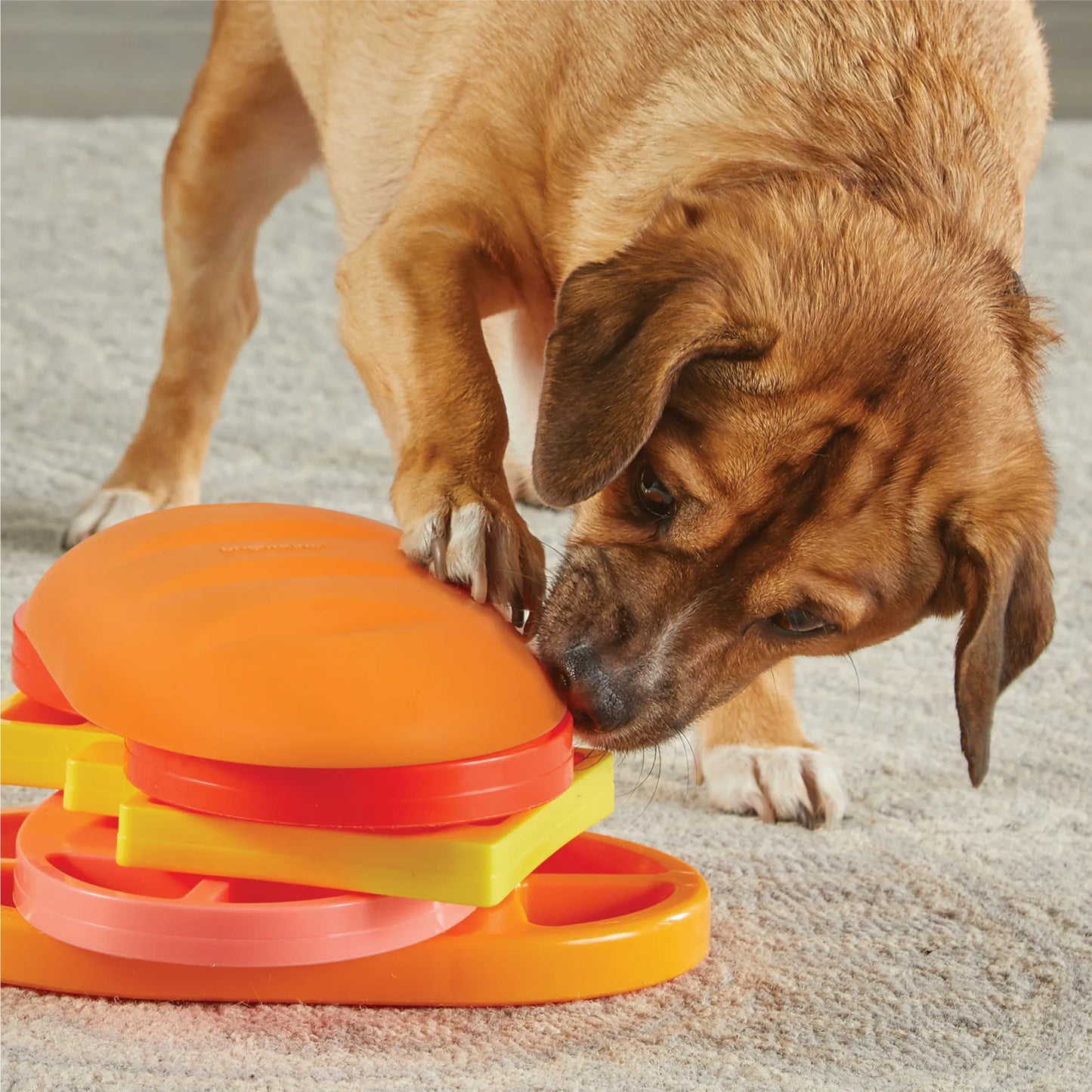 Pupstrami Surprise! Treat Puzzle
