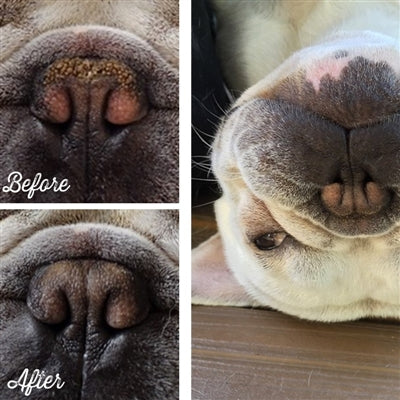 Snout Soother Balm for Dogs 2 oz Tin