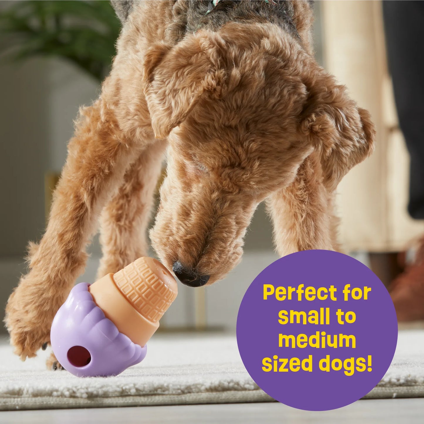 Small Ice Cream Treat Dispenser