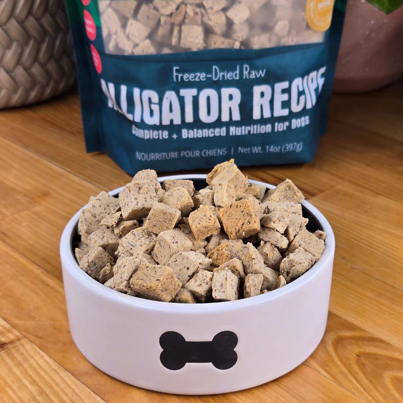 Freeze Dried Alligator Recipe