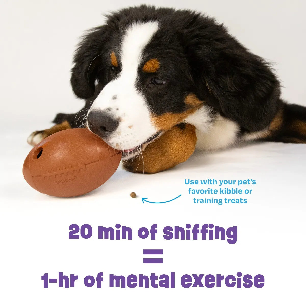 Tough & Tumble™ Treat Dispenser: Fumbling Football
