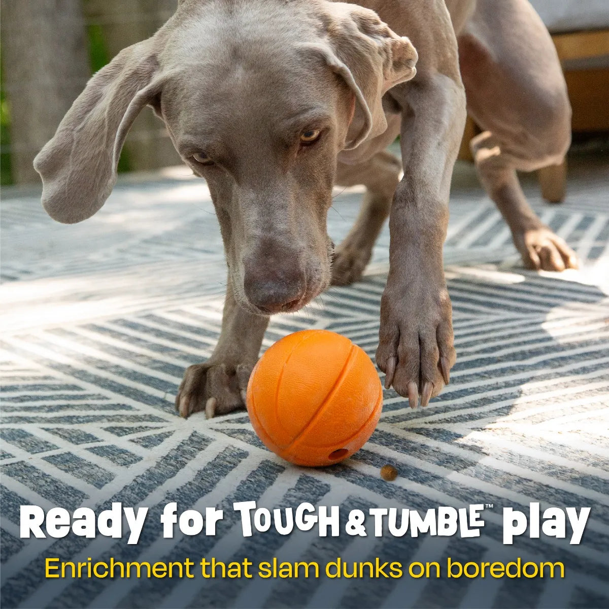 Tough & Tumble™ Treat Dispenser: Bouncing Basketball