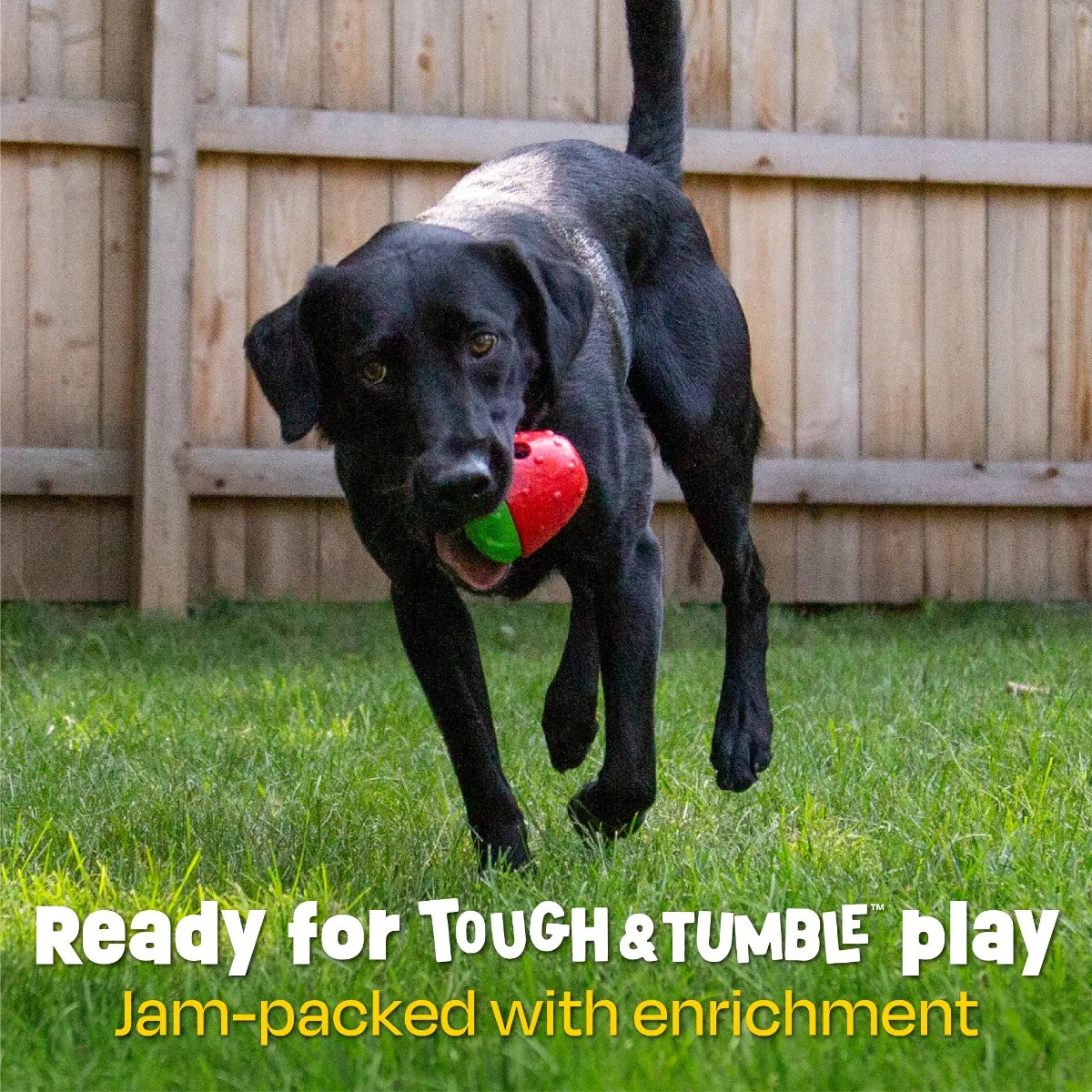 Tough & Tumble™ 2-Piece Treat Dispenser: Strawberry