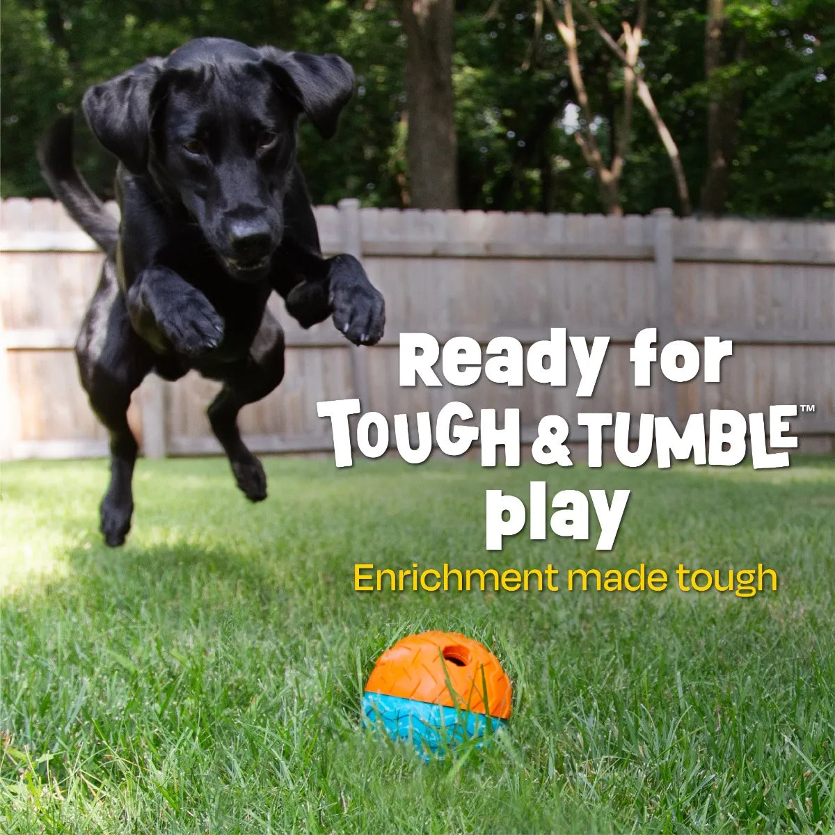 Tough & Tumble™ 2-Piece Treat Dispenser: Small Textured Ball